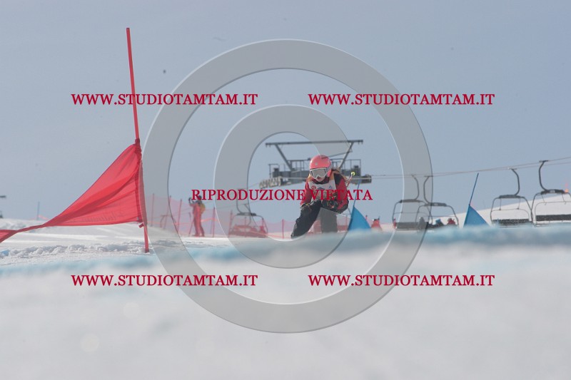 IMGB2899.JPG