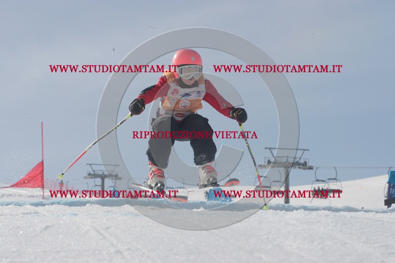 IMGB2910.JPG
