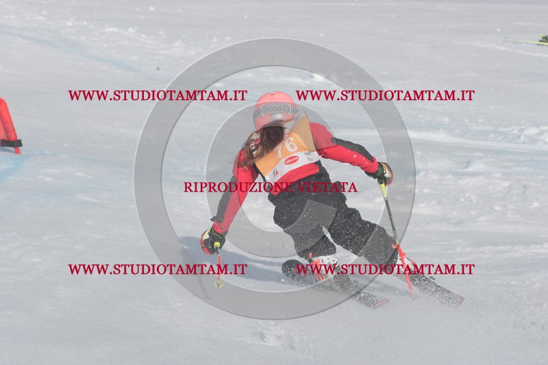 IMGB2913.JPG