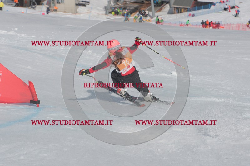 IMGB2917.JPG