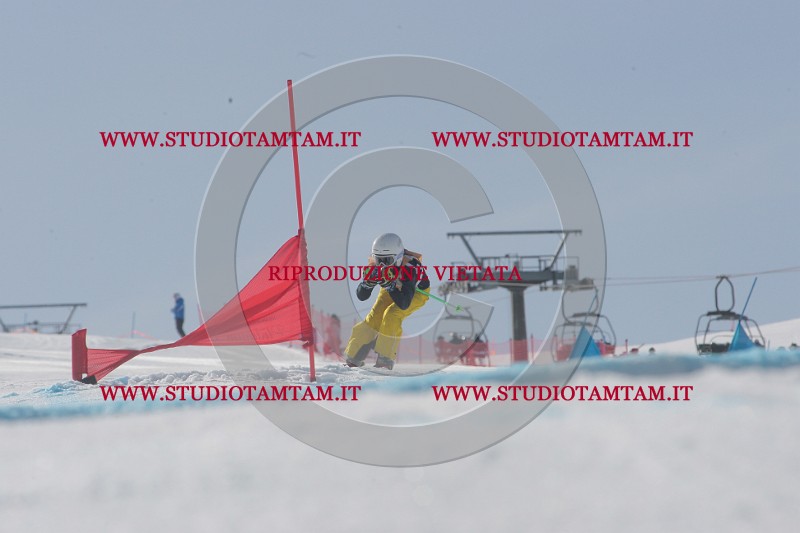 IMGB2921.JPG