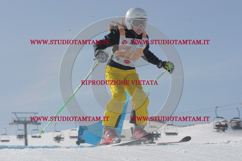 IMGB2933.JPG