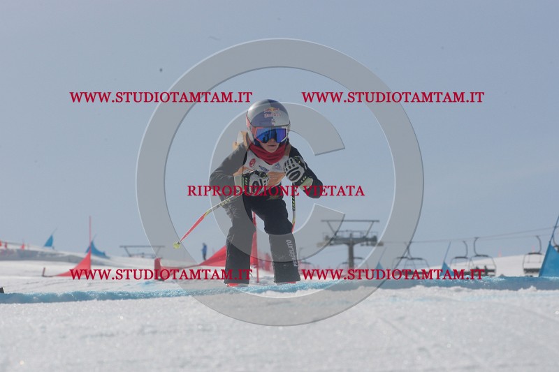 IMGB2941.JPG
