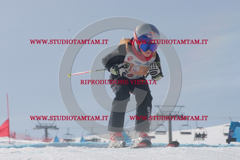 IMGB2944.JPG