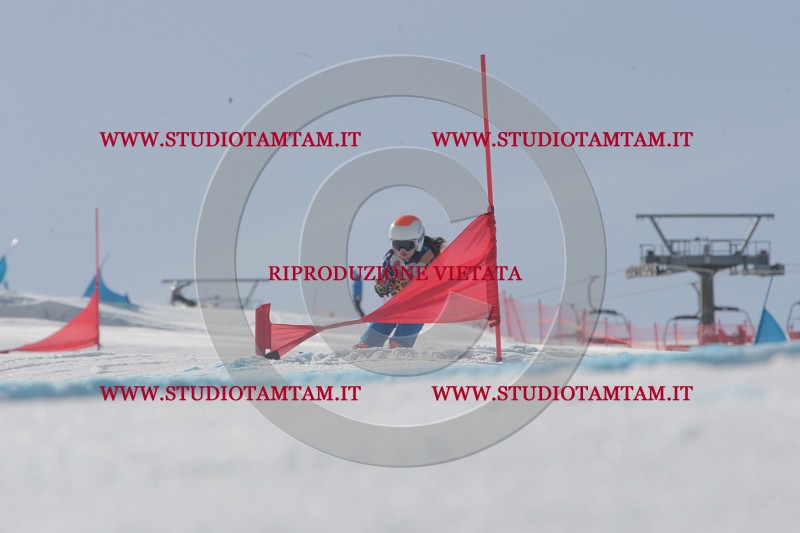 IMGB2968.JPG
