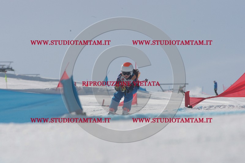 IMGB2972.JPG