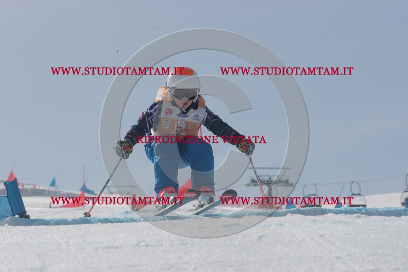 IMGB2974.JPG