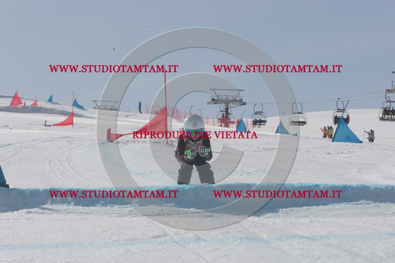 IMGB2983.JPG