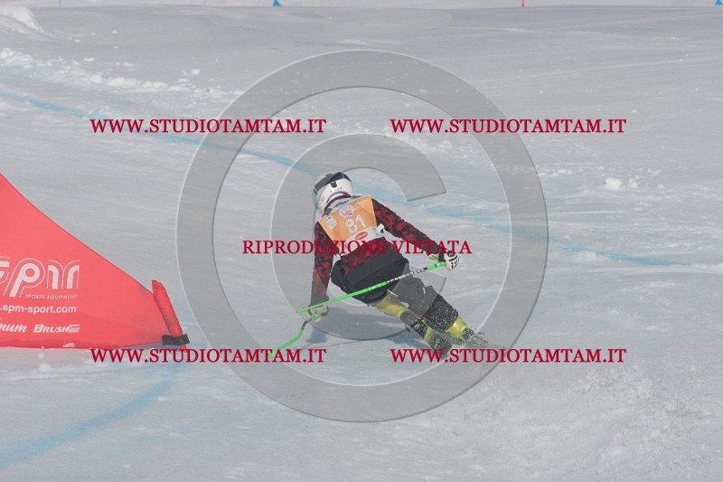 IMGB2991.JPG