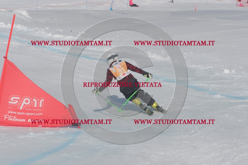 IMGB2992.JPG