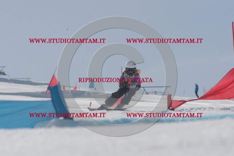 IMGB2997.JPG