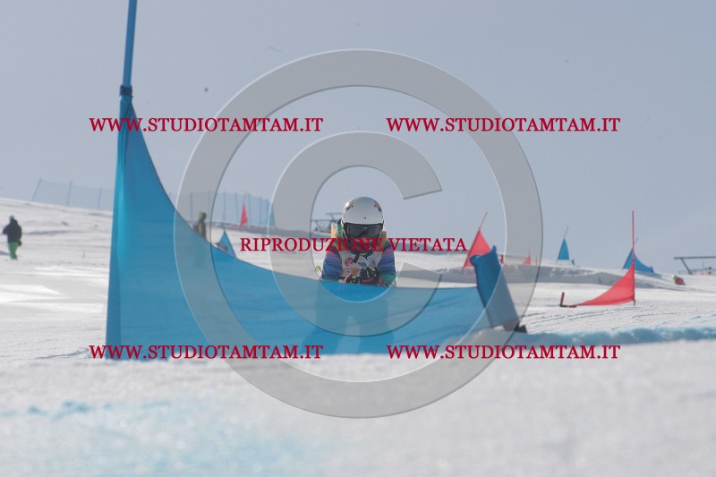 IMGB2998.JPG