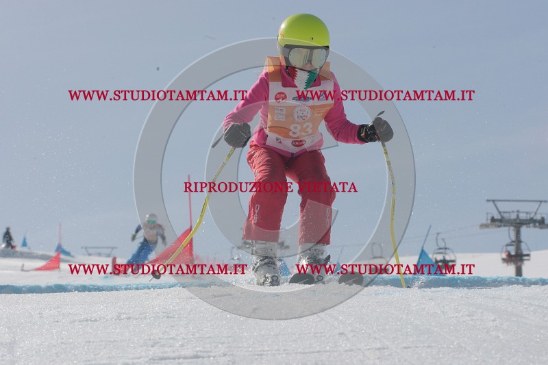 IMGB3016.JPG