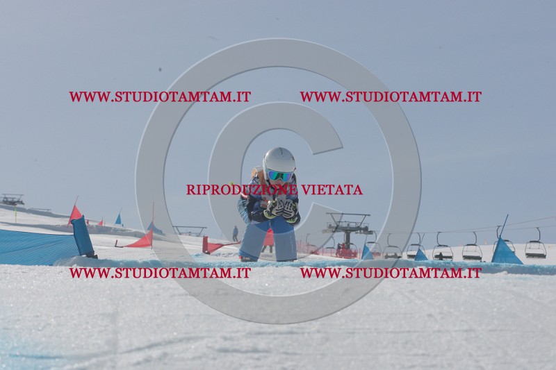 IMGB3017.JPG
