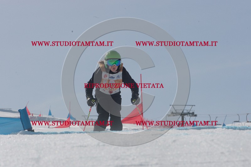 IMGB3029.JPG