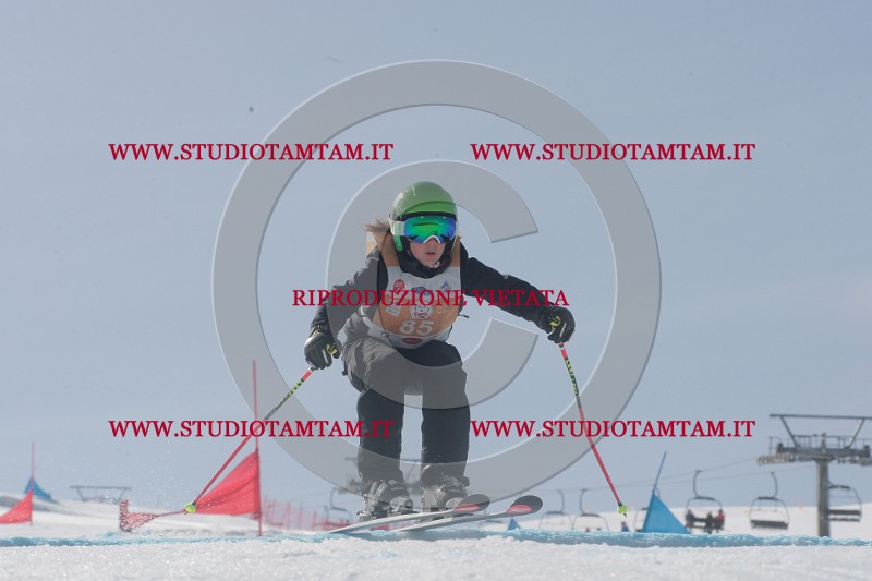 IMGB3031.JPG