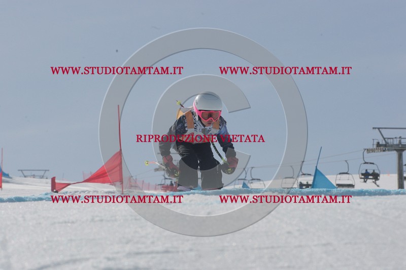 IMGB3045.JPG