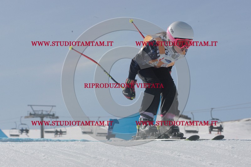 IMGB3049.JPG