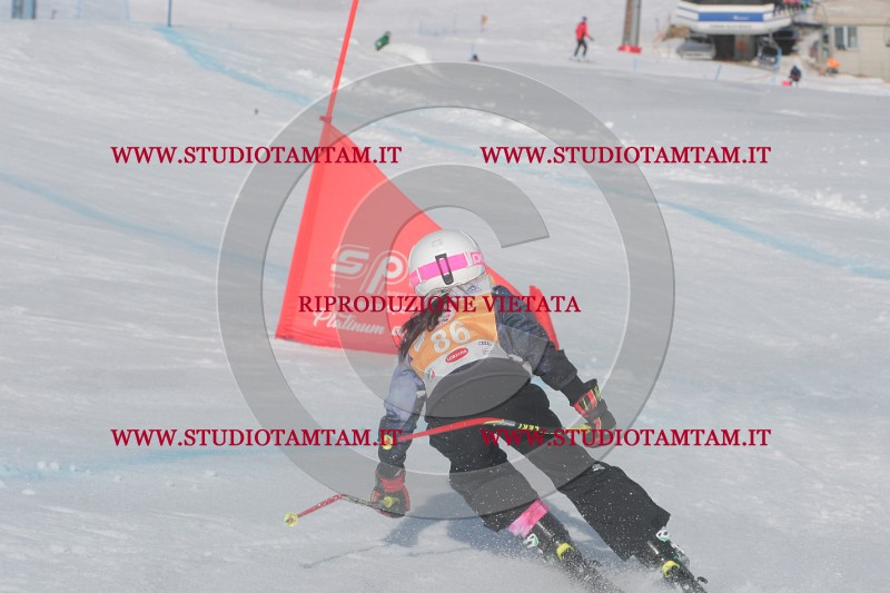 IMGB3050.JPG