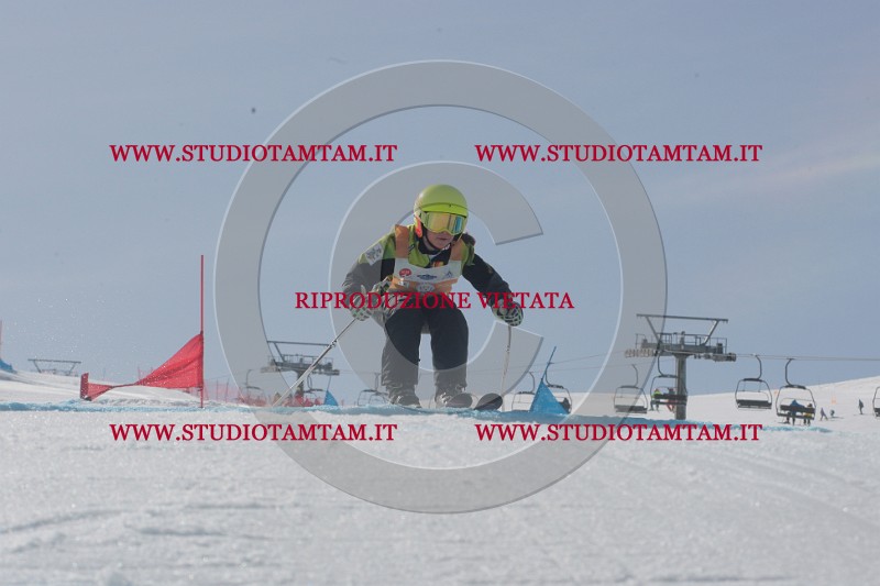 IMGB3083.JPG