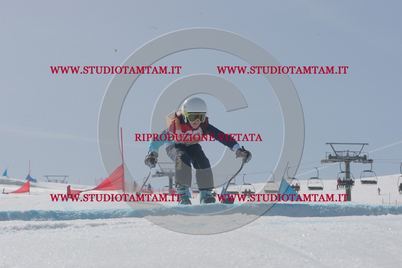 IMGB3247.JPG