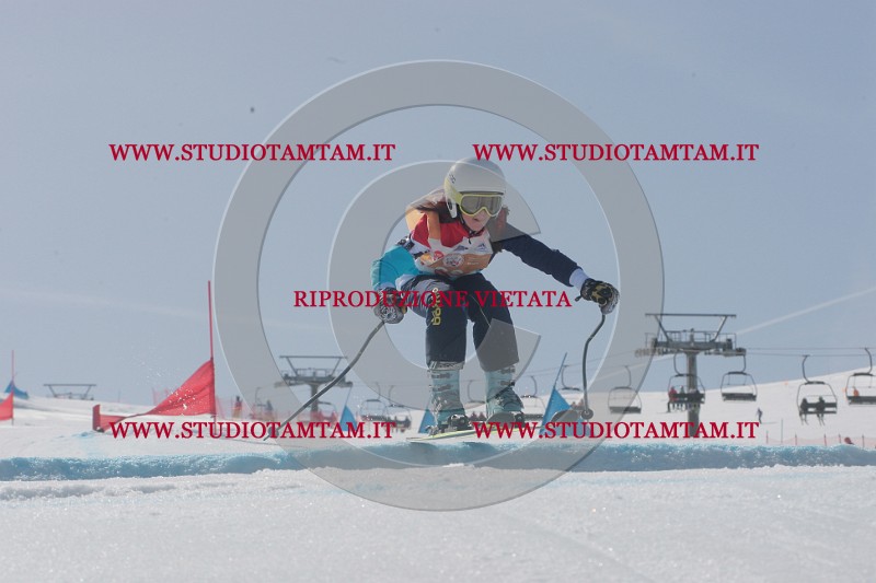 IMGB3248.JPG