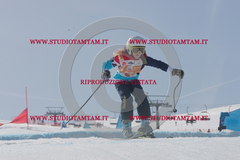 IMGB3249.JPG