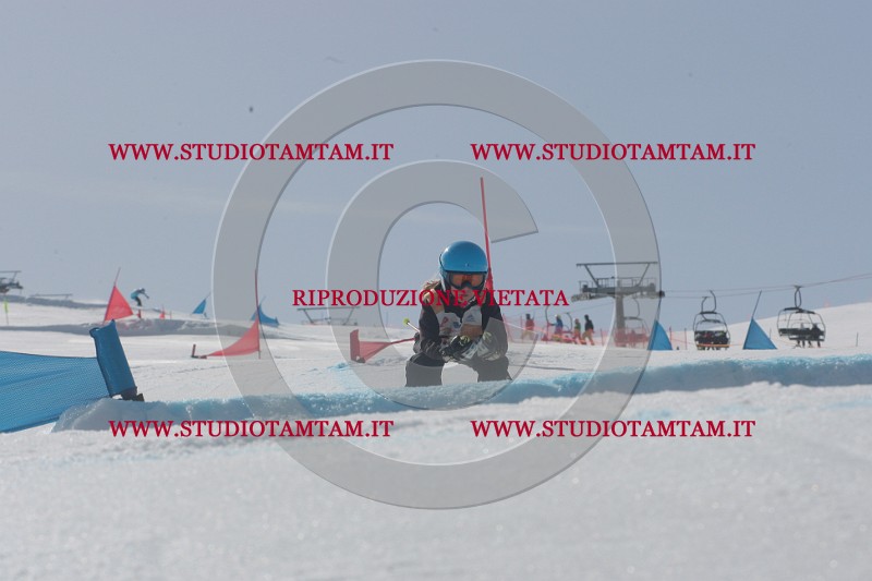 IMGB3279.JPG