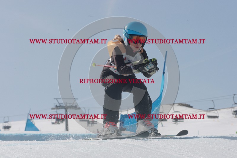 IMGB3285.JPG