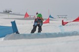 IMGB2585