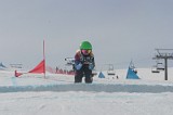IMGB2590
