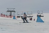 IMGB2597