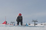 IMGB2685