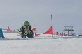 IMGB2774