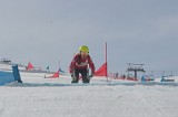 IMGB2787