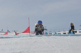 IMGB2819