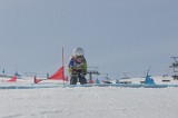 IMGB2958