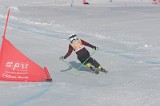 IMGB2992