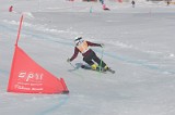 IMGB2993