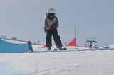 IMGB3002