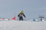 IMGB3082
