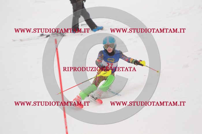 IMG_2838.JPG