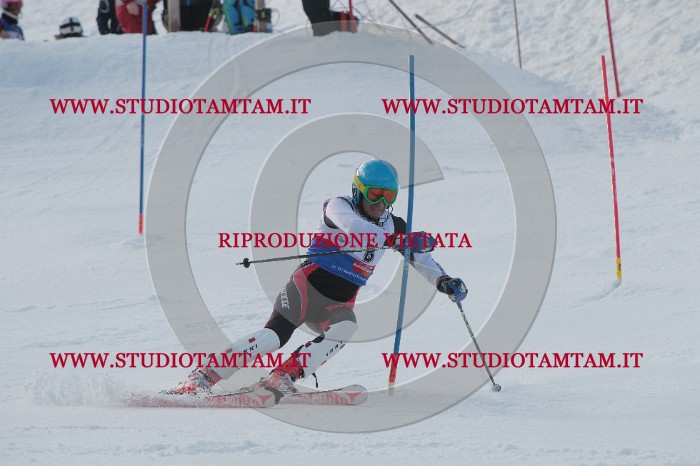 IMG_4206.JPG