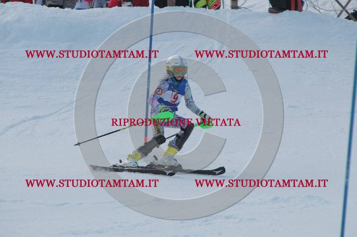 IMG_4264.JPG