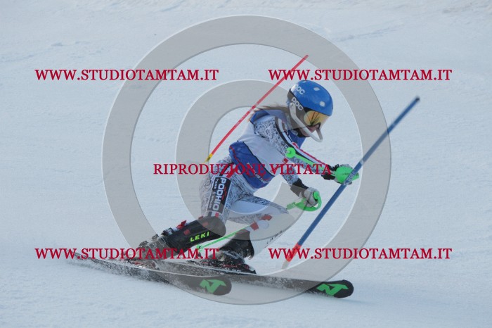 IMG_4322.JPG