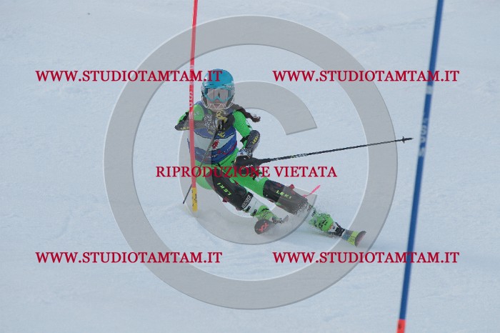 IMG_4393.JPG