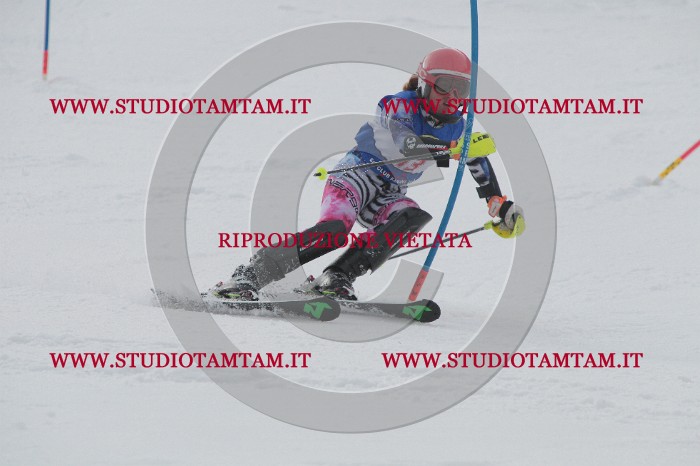 IMG_4450.JPG