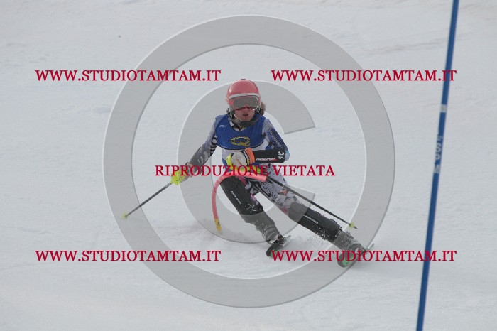 IMG_4453.JPG