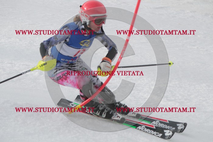IMG_4457.JPG