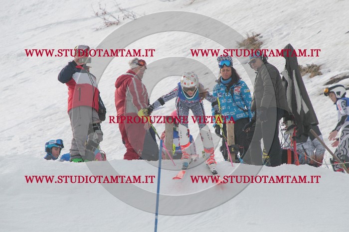 IMG_4462.JPG